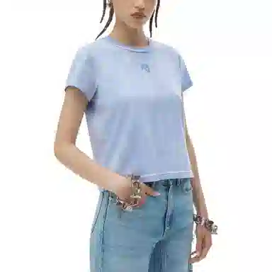 alexander wang FW24 T