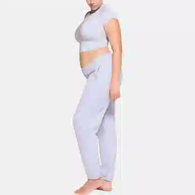 SKIMS NEW VINTAGE CROPPED RAGLAN T-SHIRT T PERIWINKLE