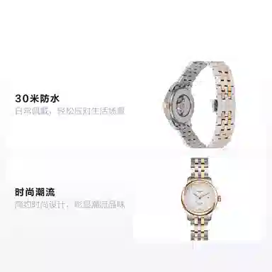 Tissot Le Locle T006.207.22.038.00