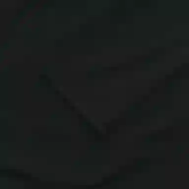 Jordan Sport Logo SS24T