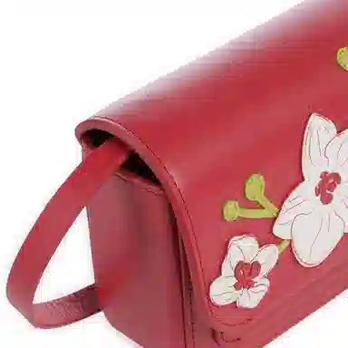 RADLEY MINI FLAPOVER CROSSBODY