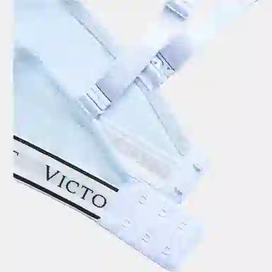 Victoria's Secret 5.0