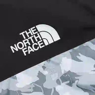 The North Face 1986 Logo Camo
