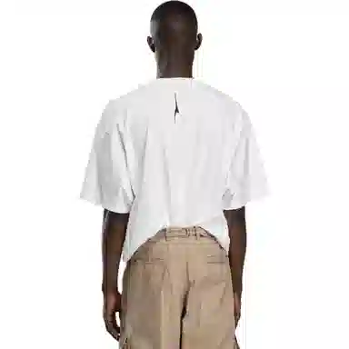 Canada Goose Snow Goose T