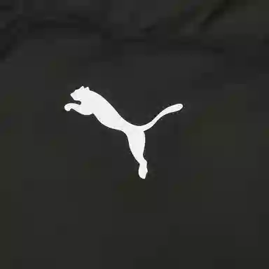 PUMA ESS+ FW25 DOWN JACKET