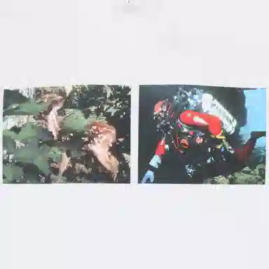 Supreme x JUNYA WATANABE COMME des GARÇONS MAN Nature Tee