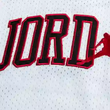 Jordan Logo V-Neck T-Shirt White