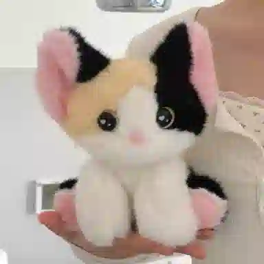24cm