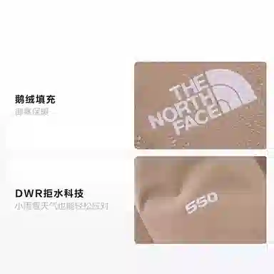 THE NORTH FACE Urban Exploration Puffy logo550