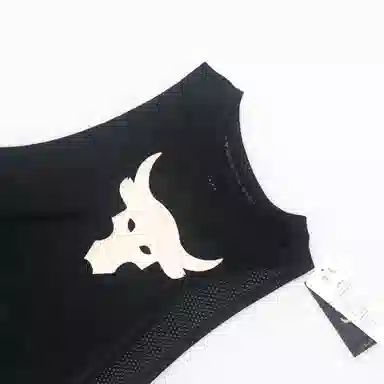 Under Armour Project Rock Animal Print Sleeveless Mesh Tank Top Black