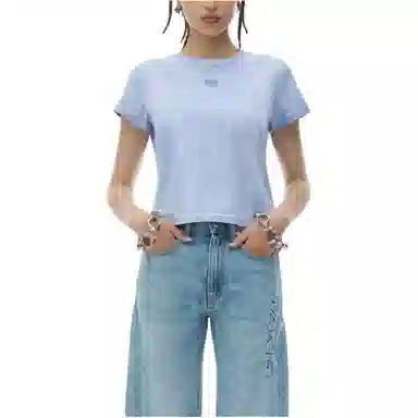 alexander wang FW24 T