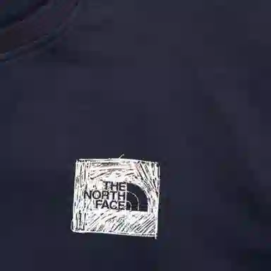 THE NORTH FACE SS22 Logo