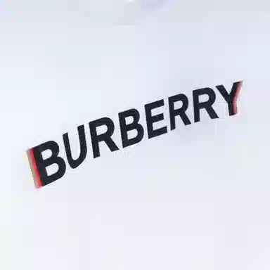 Burberry SS22 LogoT