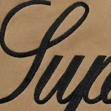 Supreme FW22 Fleece Hooded Denim Shirt