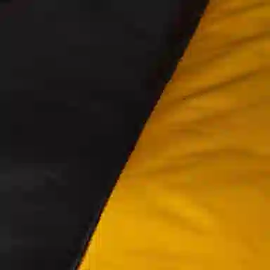 THE NORTH FACE FW24 ICON HMLYN