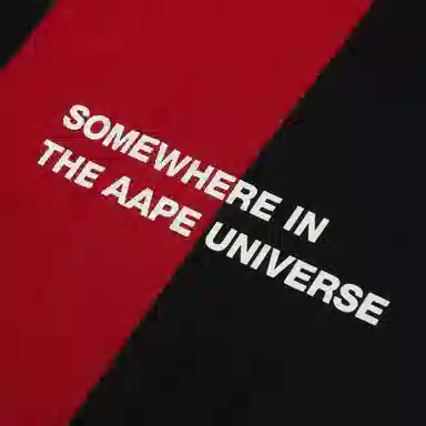 Aape FW24 T