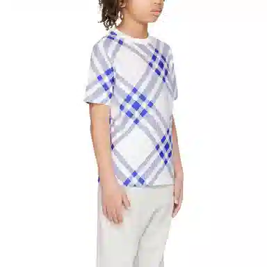 Burberry T