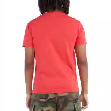 Polo Ralph Lauren T