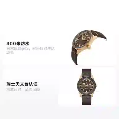 Rado Captain Cook R32504306