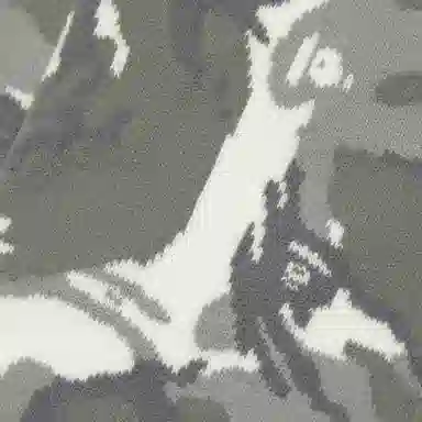 Aape
