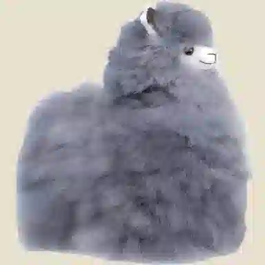 BBFAT ALPACA