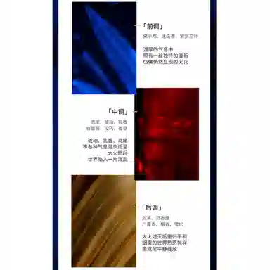 Amouage Interlude Black Iris