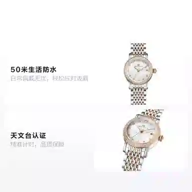 Sea-Gull 317.17.1074L