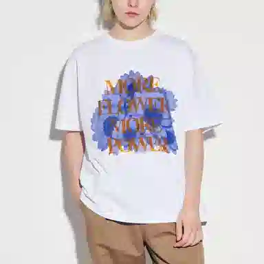 UNIQLO Skater T