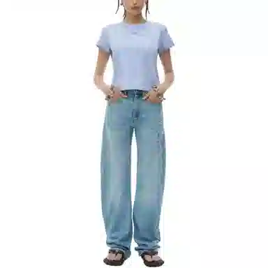 alexander wang FW24 T