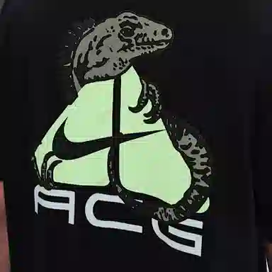 Nike Dri-Fit ACG T