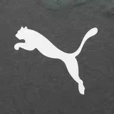 Puma T