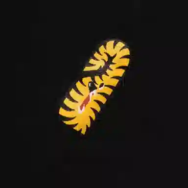 A BATHING APE BAPE Shark Full Zip Hoodie