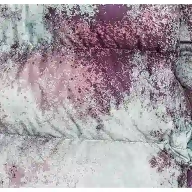 The North Face FW22 Printed Hooded Jacket