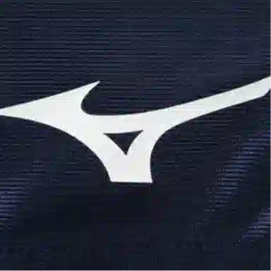 Mizuno