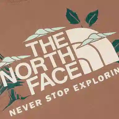 THE NORTH FACE SS25 T