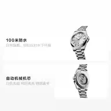 LONGINES 100 41mm L3.830.4.72.6