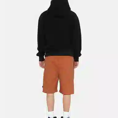 Stussy SS22 Brushed Beach Short