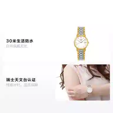 LONGINES 33mm L4.819.2.12.7