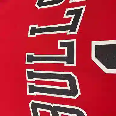 adidas x NBA Rose Chicago Bulls Jersey