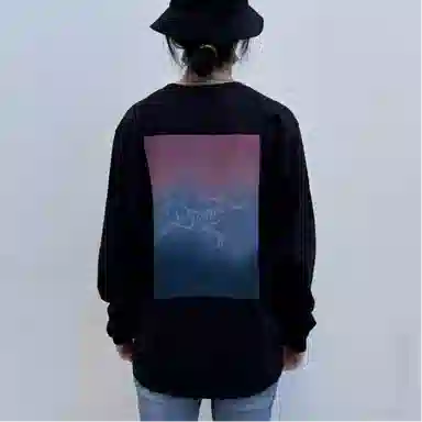 Arcteryx Kragg Cotton HeatmapT