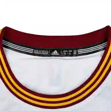 adidas NBA Jersey Cleveland James