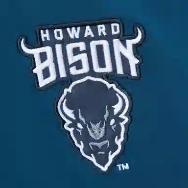 Mitchell Ness x NCAA Howard Bison Jacquard Ringer T