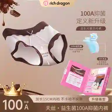 Rich Dragon 100A 8