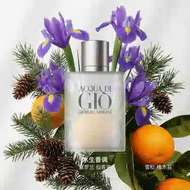 Giorgio Armani Acqua di Gio Pour Homme EDT