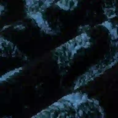 Lanvin SS22 Paisley Shorts