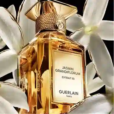 Jasmine Grandiflorum Extrait 30 parfum 50ml