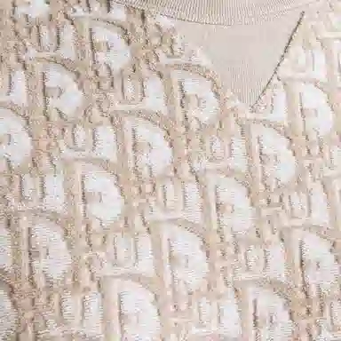 DIOR T