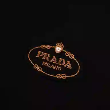 PRADA FW24 T