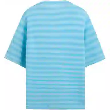 ZARA T