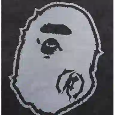 A BATHING APE SS25 T